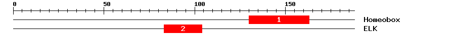 Signature Domain