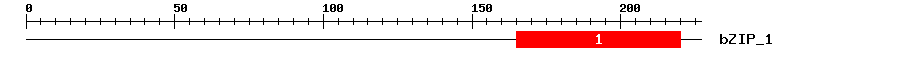 Signature Domain