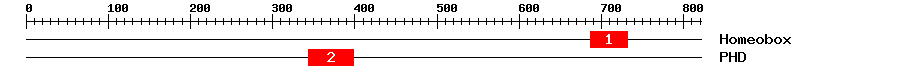 Signature Domain