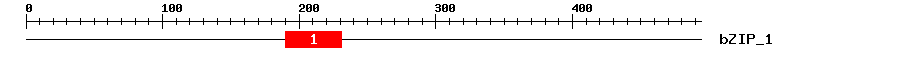 Signature Domain