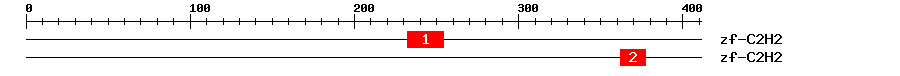 Signature Domain