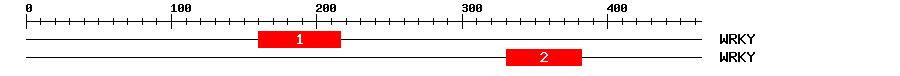 Signature Domain