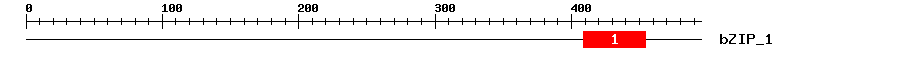 Signature Domain