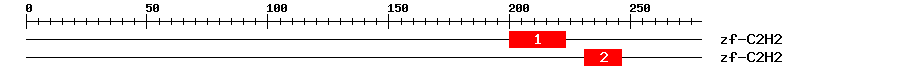 Signature Domain