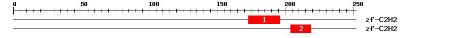 Signature Domain