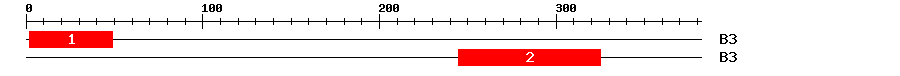 Signature Domain