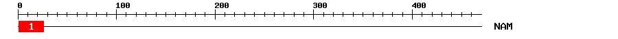 Signature Domain