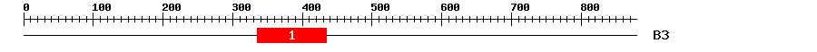 Signature Domain
