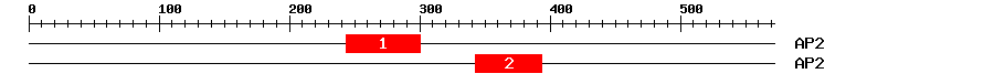 Signature Domain