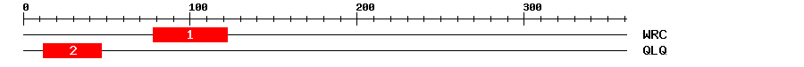 Signature Domain