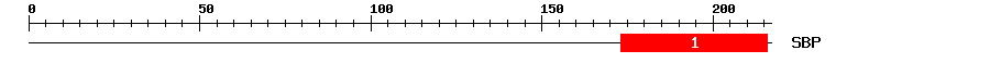 Signature Domain