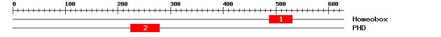 Signature Domain