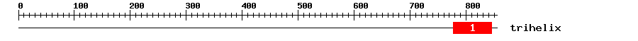 Signature Domain