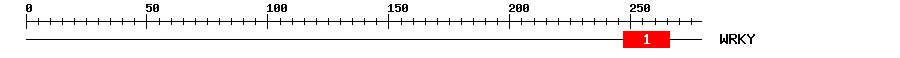 Signature Domain