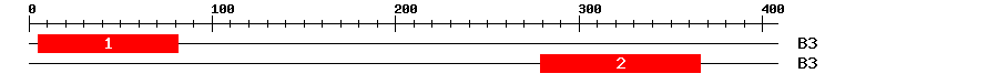 Signature Domain