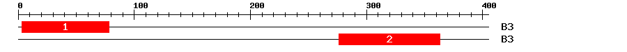 Signature Domain