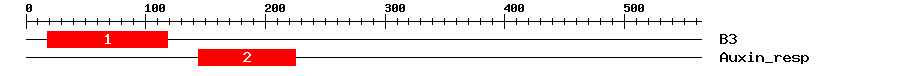 Signature Domain