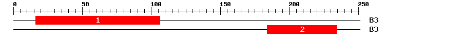 Signature Domain