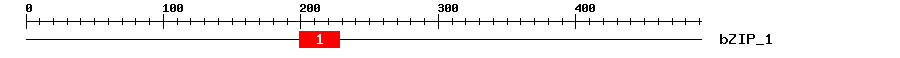 Signature Domain
