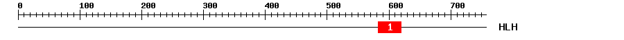 Signature Domain