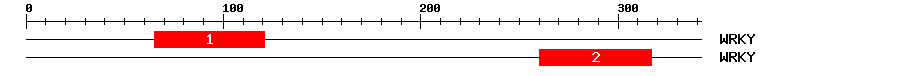 Signature Domain