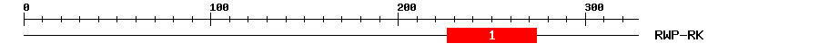 Signature Domain