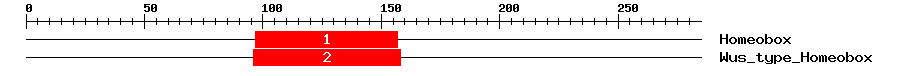Signature Domain