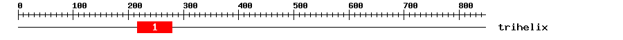 Signature Domain