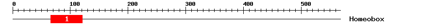 Signature Domain