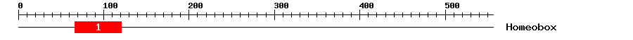 Signature Domain