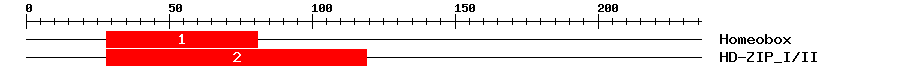 Signature Domain