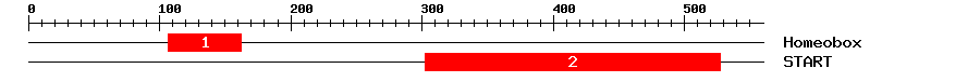 Signature Domain