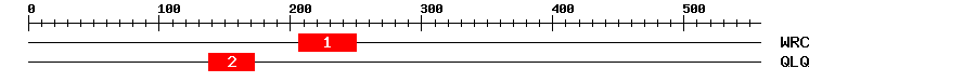 Signature Domain