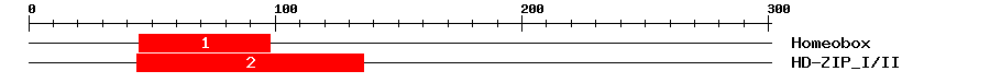 Signature Domain