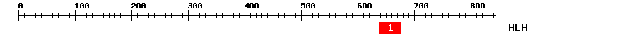 Signature Domain
