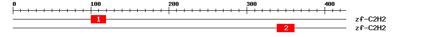 Signature Domain