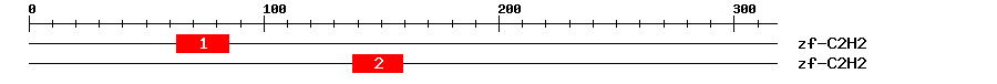 Signature Domain