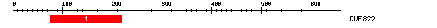 Signature Domain