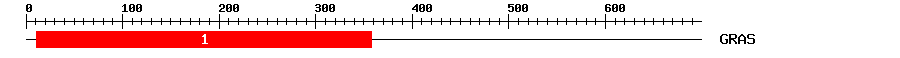 Signature Domain