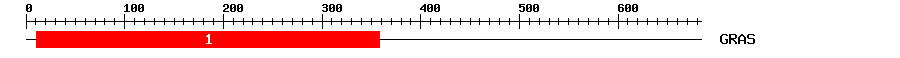 Signature Domain