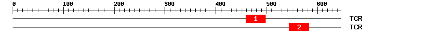 Signature Domain