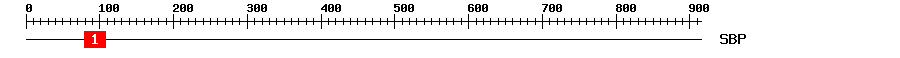 Signature Domain