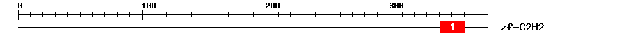 Signature Domain