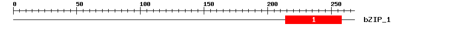 Signature Domain