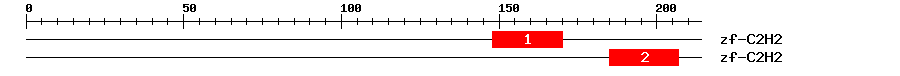 Signature Domain