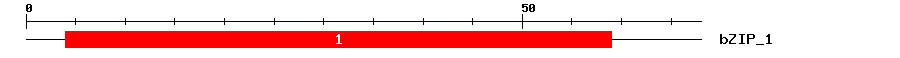 Signature Domain