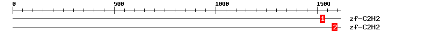 Signature Domain