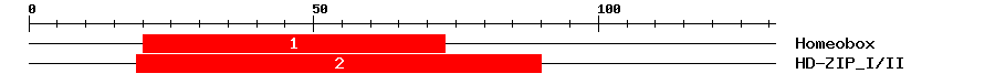 Signature Domain