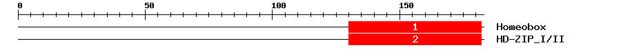 Signature Domain
