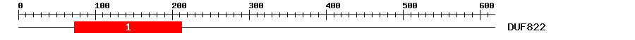 Signature Domain